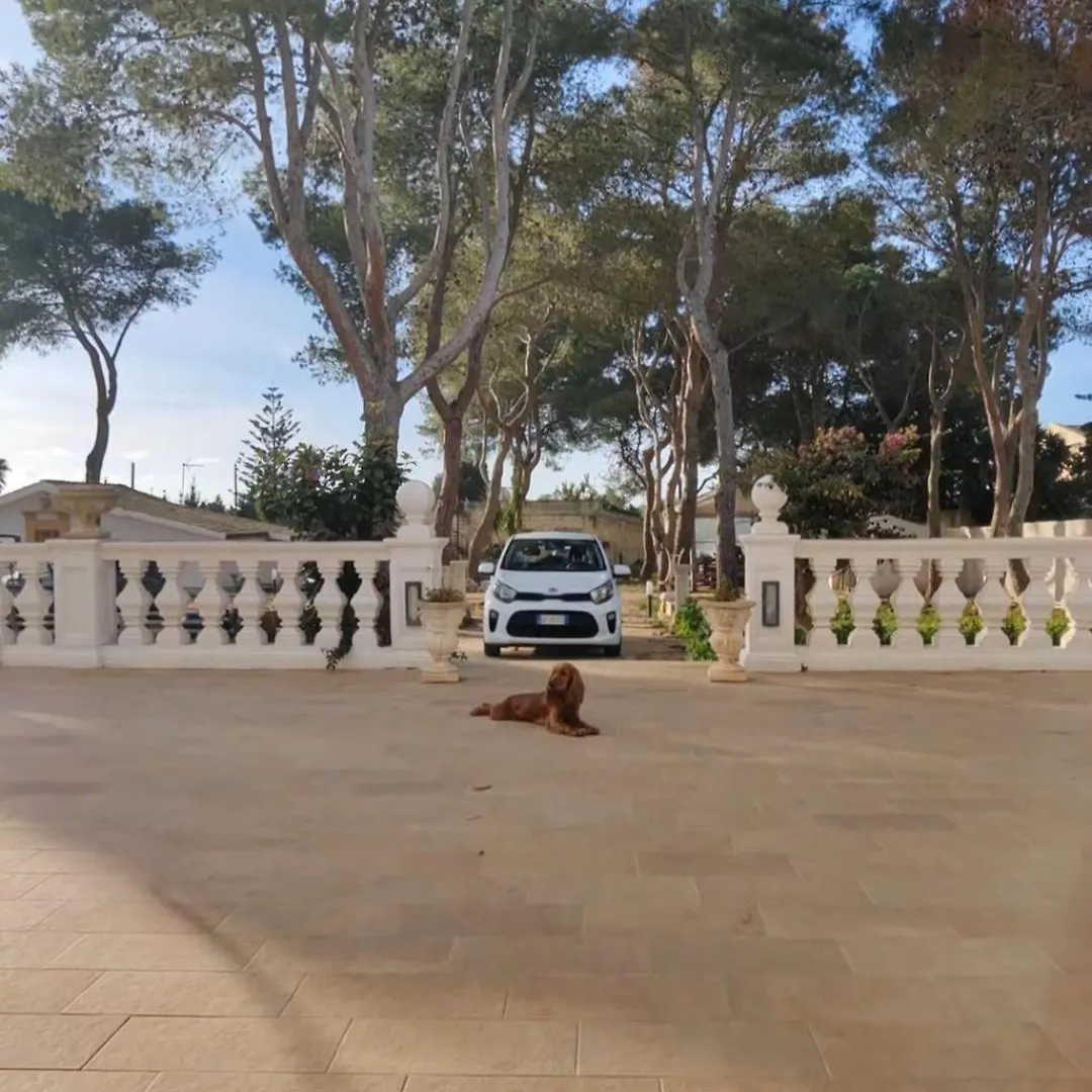 Apartment Villa Margherita Art And Music Marsala Italy